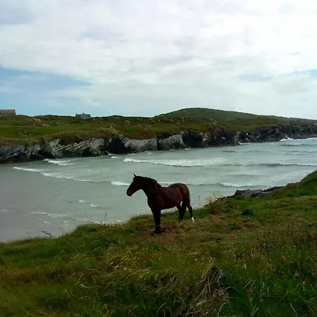 Melrose 3* كلوناكِلتي