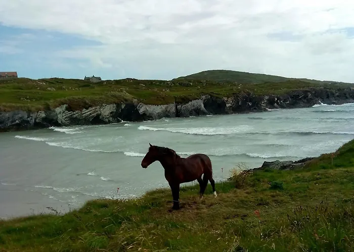 Melrose 3* 크로나킬티