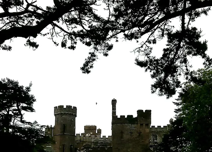 Melrose 크로나킬티